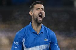  德约科维奇为何被逮捕 