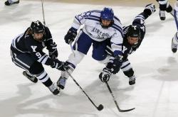 包含夏季联赛最新形势：费内巴切高居榜首，山东泰山强势追赶，冠军归属成迷的词条