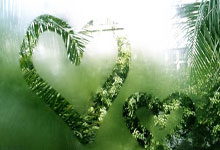 世界杯篮球赛迎来精彩对决，焦点明晰的简单介绍